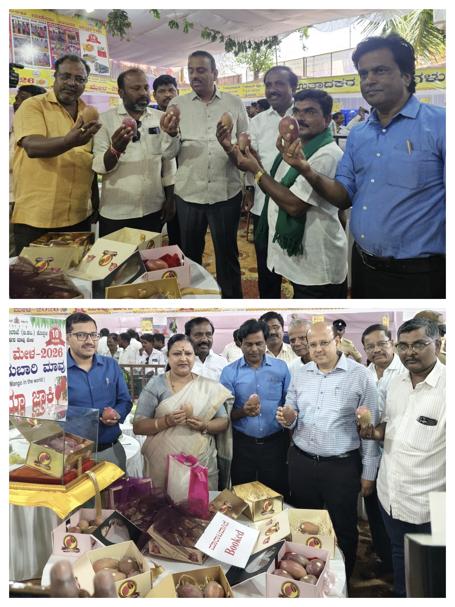 ಕೊಪ್ಪಳದಲ್ಲಿ ಹತ್ತು ದಿನಗಳ ಮಾವು ಮೇಳೆಕ್ಕೆ ಚಾಲನೆ: 200 ತಳಿಯ ಮಾವಿನ ಹಣ್ಣುಗಳ ಪ್ರದರ್ಶನ- 1 ಕೆಜಿಗೆ ರೂ.2.5ಲಕ್ಷ ಬೆಲೆಯ 'ಮೀಯಾ ಜಾಕಿ' ಮಾವು image